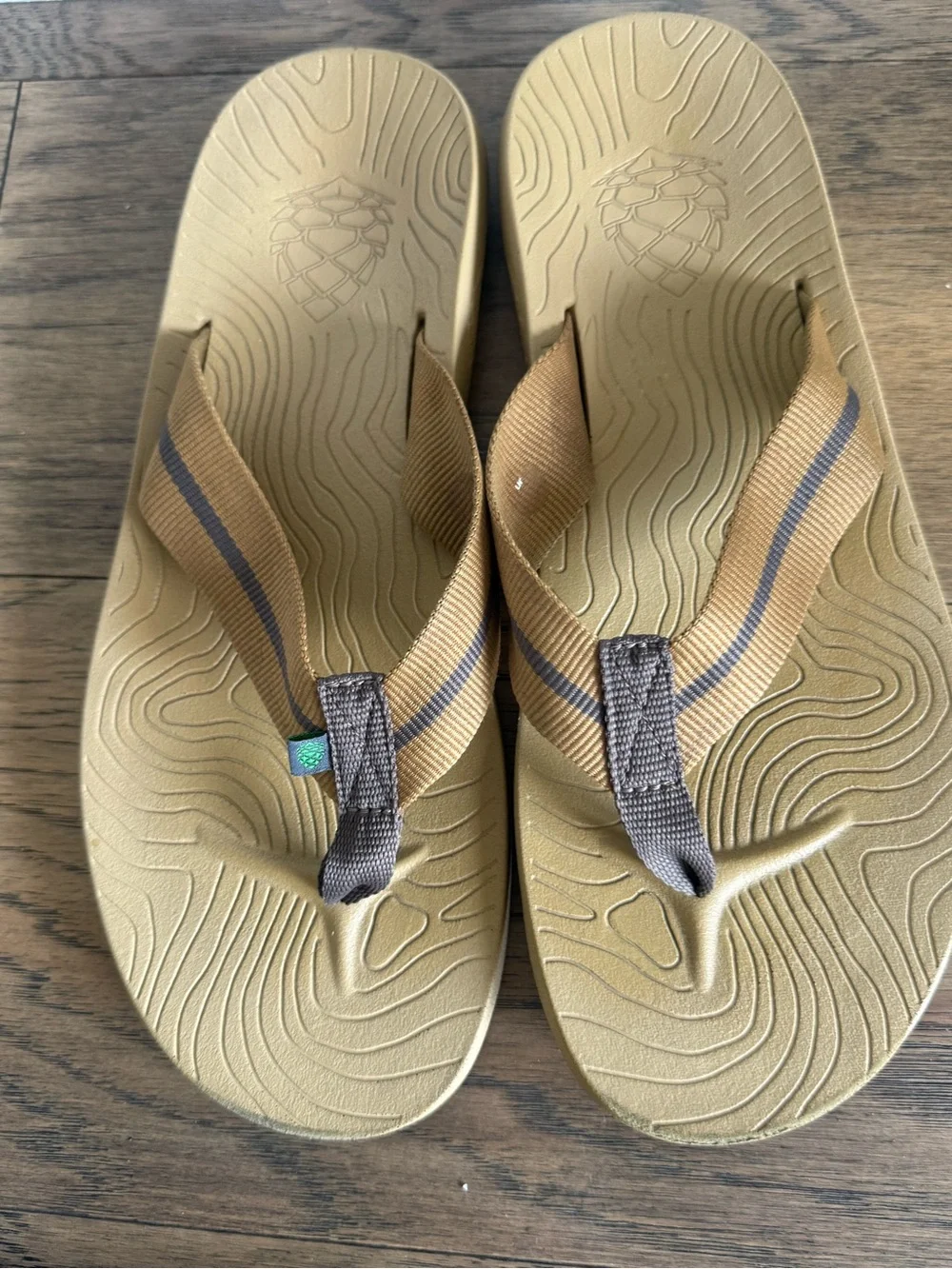 Stio Bircher Flip Flops